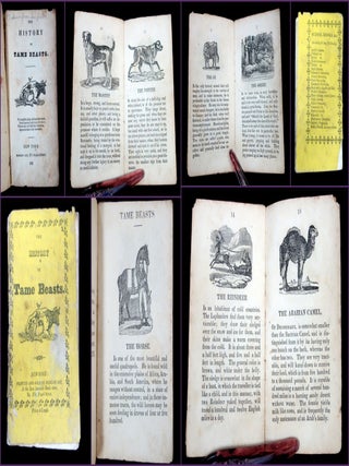 Item #29016218 The History of Tame Beasts