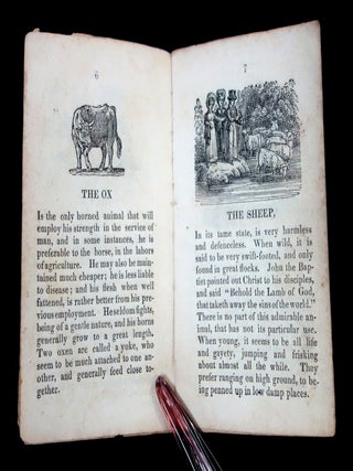 The History of Tame Beasts