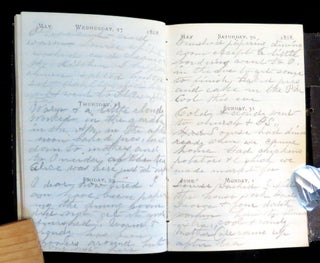 1868 Daily Pocket Diary of E. M. Cole - household help responsibilities, sales records - preserving and selling of jam