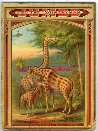 The Little Showman's Series - Jumbo and the Countryman - Pop-up